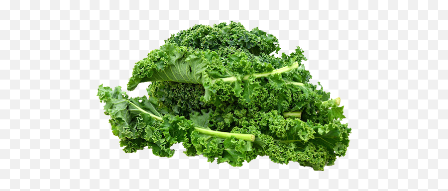 Kale - Curly Kale Png,Kale Png