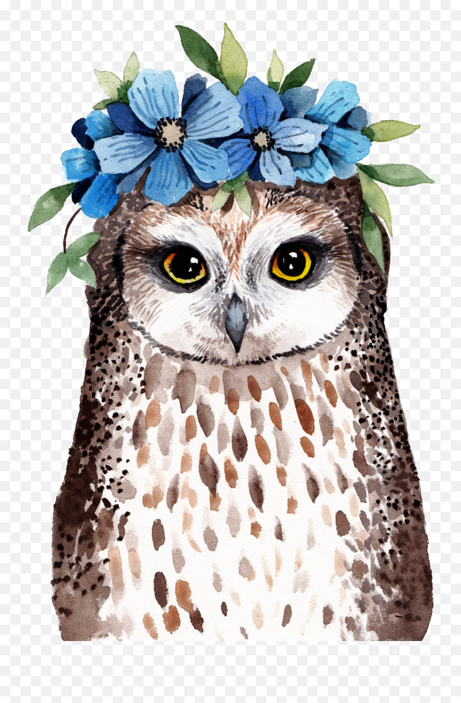 Owl Png Transparent Wearing Flowers