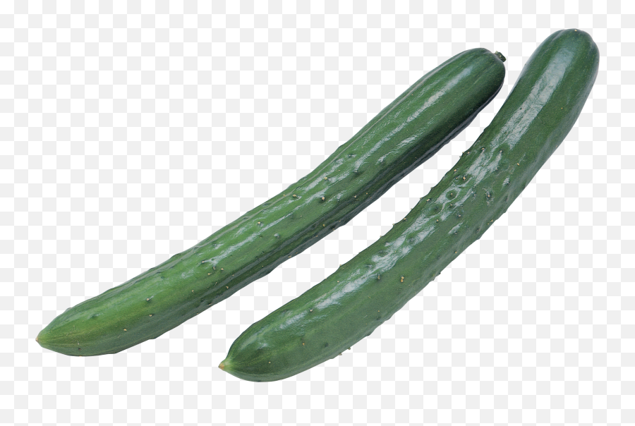 Cucumber Png Transparent Images 28 - 800 X 502 Webcomicmsnet Timun Png,Gourd Png