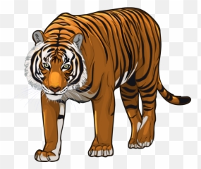 Picture Transparent Library Png Files - Tiger Cartoon