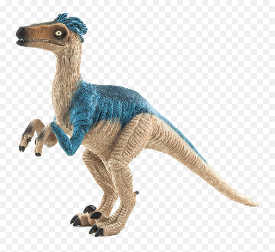 Tan And Slate Blue Color Png Velociraptor