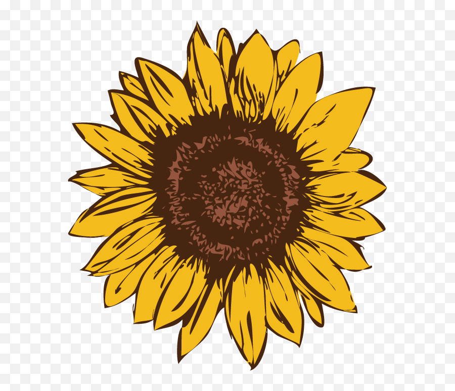 Sunflower Logo Drafts Stephanie Luke Png