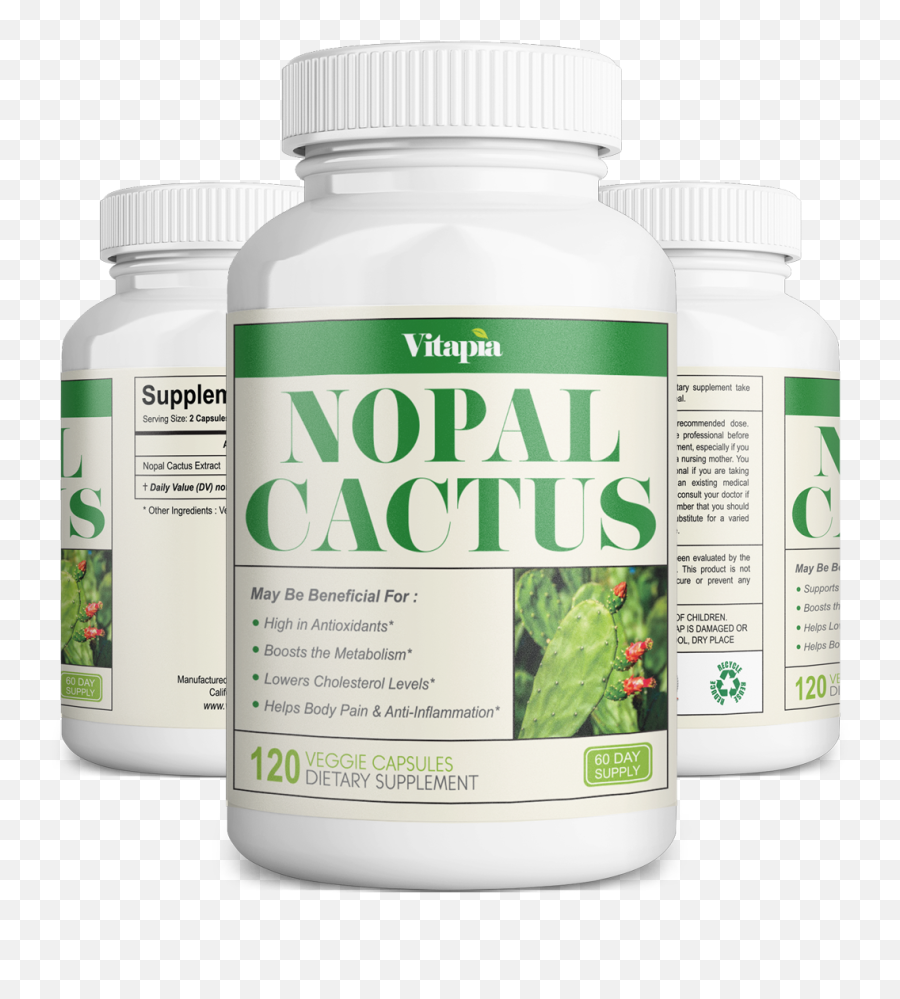Nopal Cactus - Cactus Supplement Png,Nopal Png