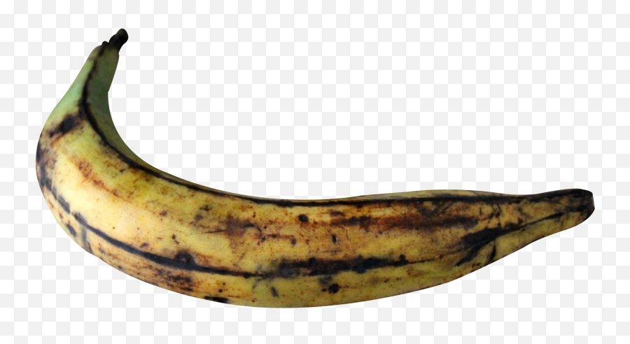 Plantain Banana Png Image - Pngpix Plantain Png,Bannana Png