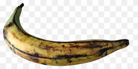 Plantain Banana Png Image - PngPix