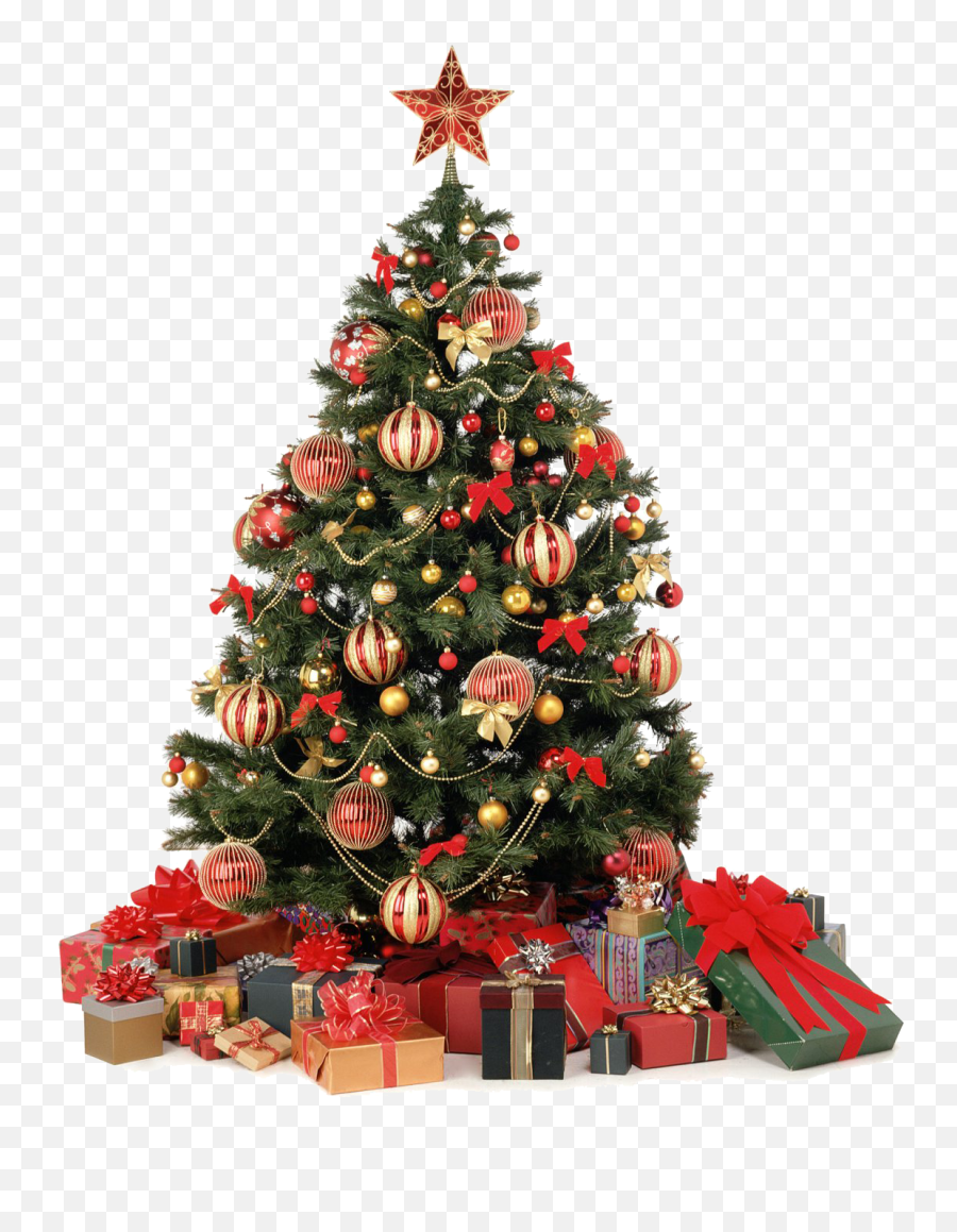 Download Christmas Home Png Clipart