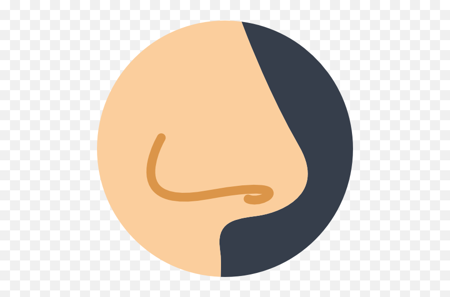 Nose Smell Noses Medical Body Parts - Nose Icon Png,Smell Png