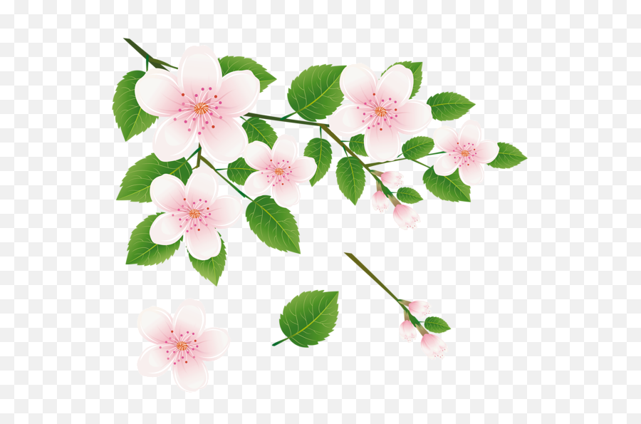 Spring Tree Branch With Flowers Png Clipart Picture - All Hd Tree Flowers Clipart,Spring Flowers Png