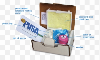 Post Vasectomy Semen Analysis - Vasectomy Semen Analysis Png,Semen Png