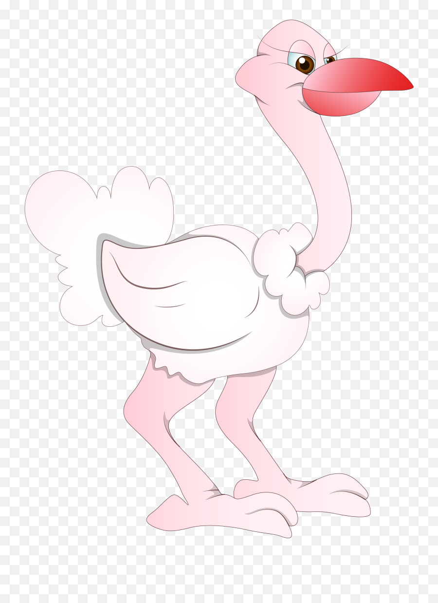 Download Common Ostrich Bird Cartoon - Cartoon Png,Ostrich Png