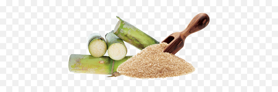 Thai Sugar Output Seen Down 7 In 20192020 - Raw Cane Sugar Png,Sugar Cane Png