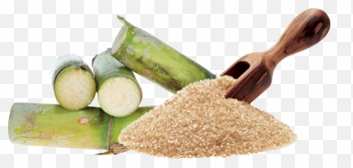 Thai Sugar Output Seen Down 7 In 20192020 - Raw Cane Sugar Png