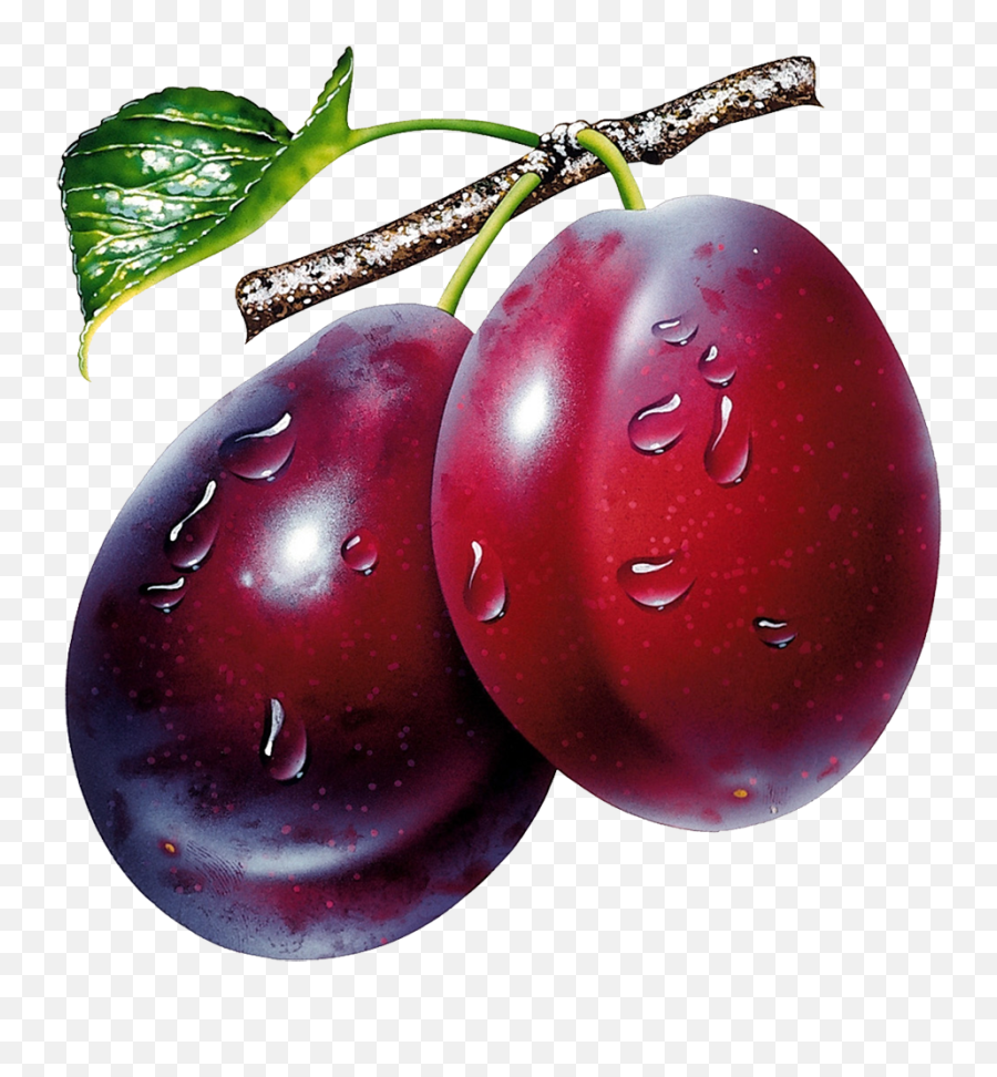 Plum Png Image For Free Download - Prunes Clipart,Plum Png