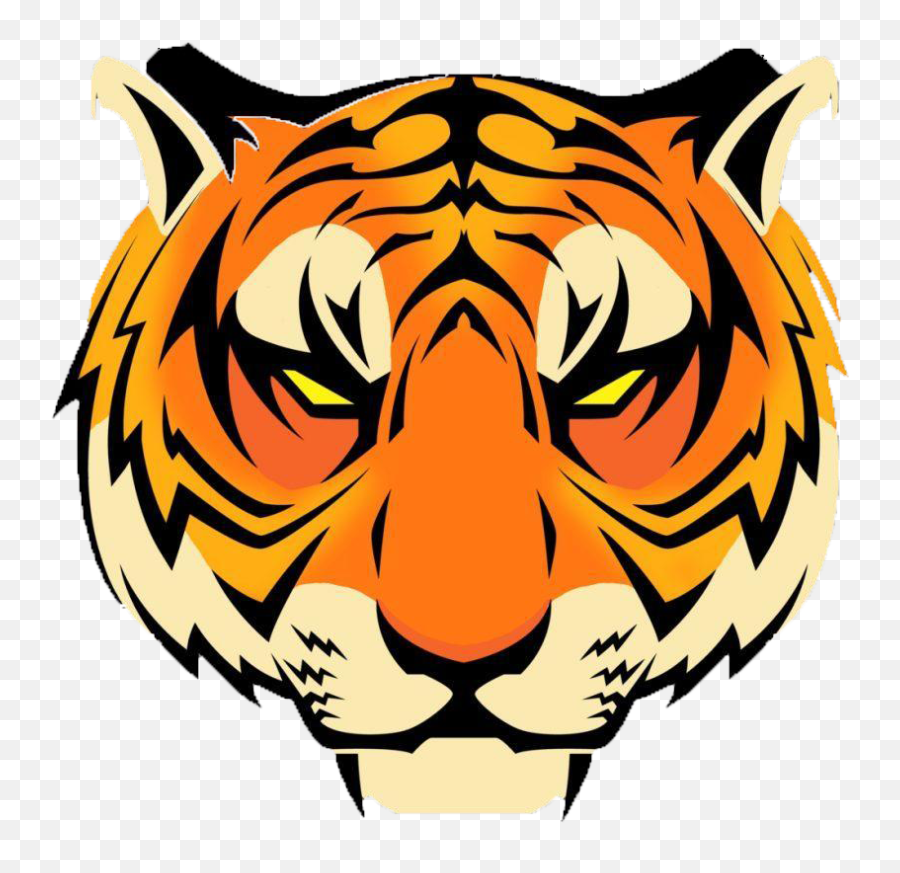 The Gallup Bengals - Tiger Tattoo Png,Bengals Logo Png