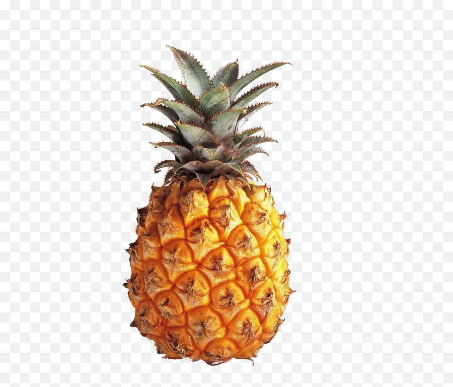 Google Search - Fruit Pineapple Transparent Png,Pineapple Transparent
