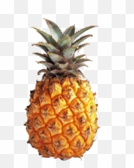 Google Search - Fruit Pineapple Transparent png