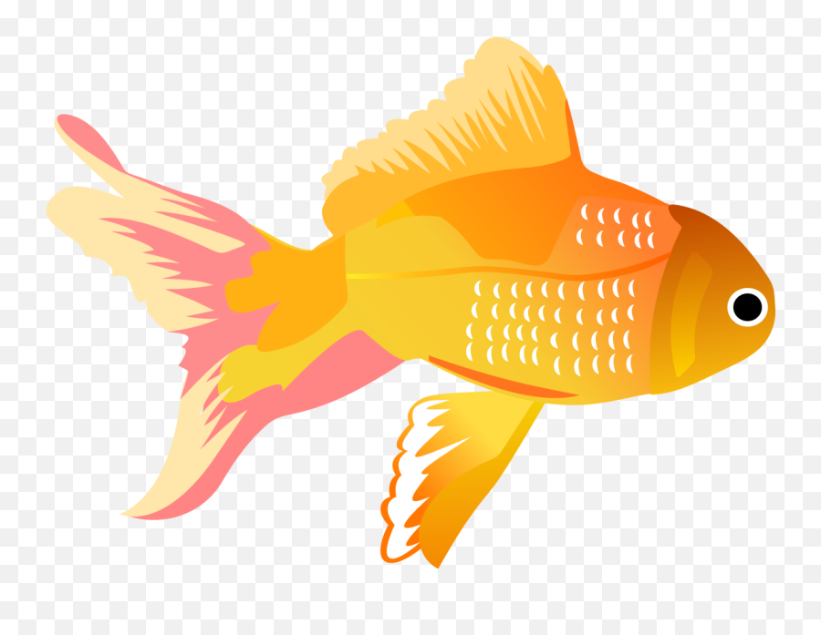 16 Free Vector Fish Images - Fish Png Vector,Bass Fish Icon