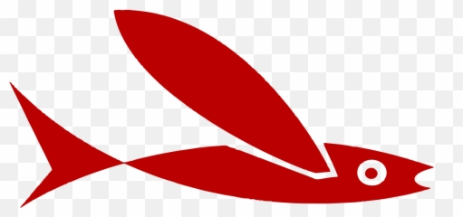 Is Swimming With Manta Rays Safe U2014 Kona Style - Fish png