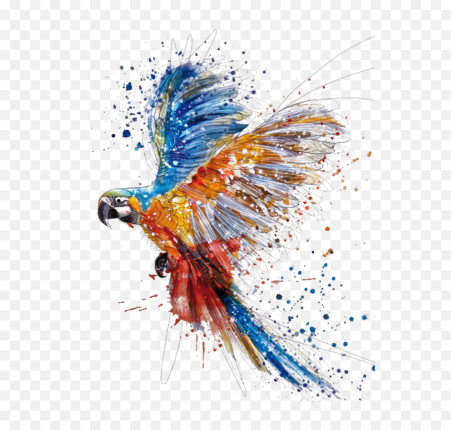 Download Free Watercolor Paint Art Painting Drawing Png - Art Of Birds,Macaw Icon