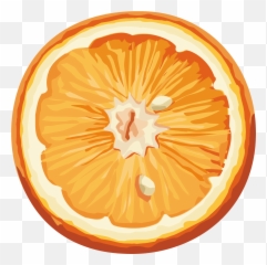 Pin By Freepngimg Transparent PNG