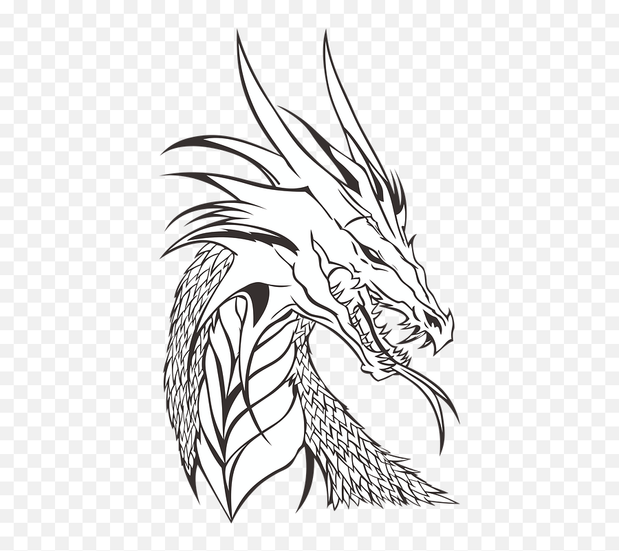 Download Hd Who Is Your Favorite Dragon - Realistic Dragon Realistic Coloring Pages Dragon Png,Head Png