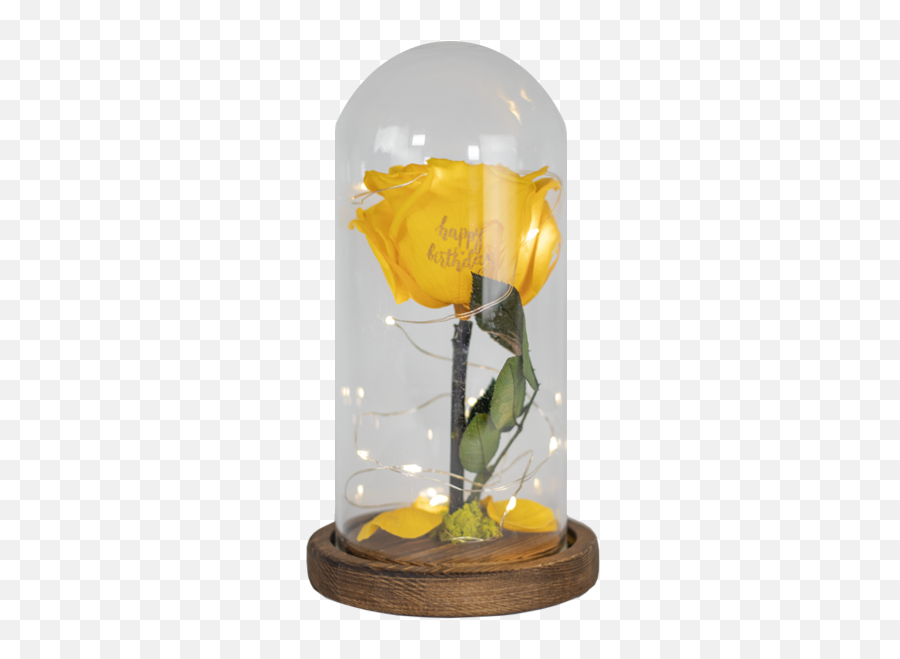 Dome - Beauty And The Beast Yellow Rose Png,Beauty And The Beast Rose Png