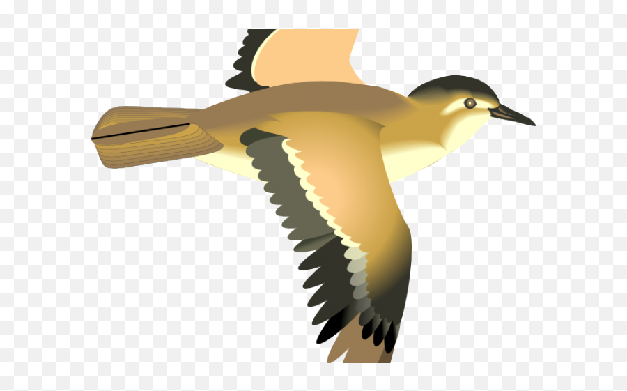 Cartoon Bird Flying Transparent - Transparent Bird Clipart Flying Png,Bird Flying Png
