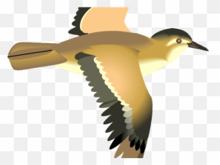 Yellow Bird Standing PNG Image - PurePNG