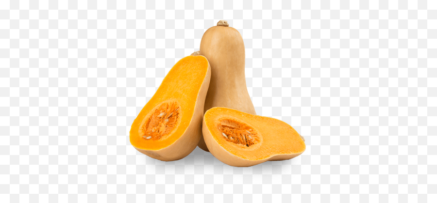 Download Free Png Butternut Squash - Squash Butternuts,Squash Png