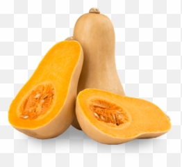 Download Free Png Butternut Squash - Squash Butternuts,Squash Png