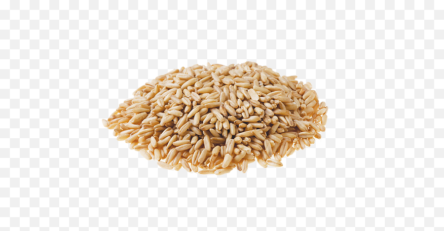 Oat Products - Dinkel Wheat Png,Oats Png