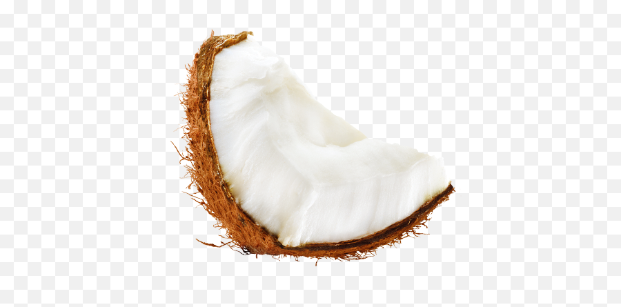 Dang Foods - Dang Bar Keto Snack Coconut Chips Stickyrice Whipped Cream Png,Coconuts Png