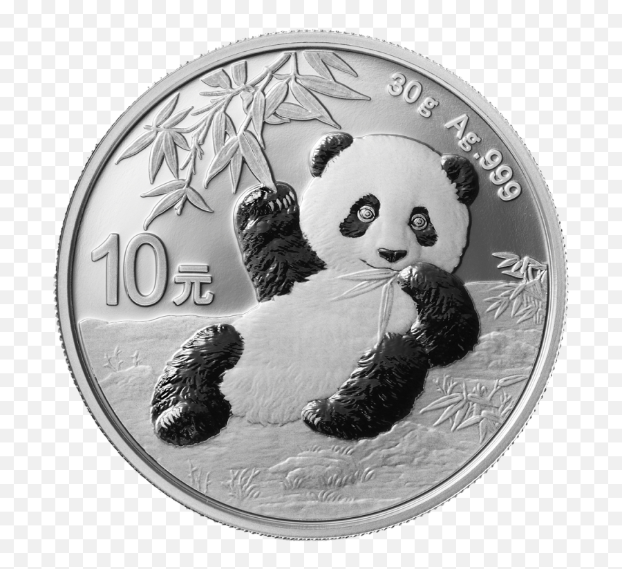 30g China Panda 2020 Silver Coin - China Panda Silver Coin 2020 Png,Coin Transparent