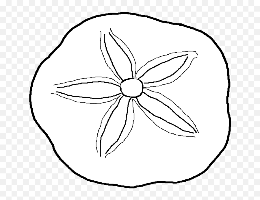 Download Clip Stock Dollar Coloring Pages Page - Sand Dollar Seashell Coloring Png,Sand Dollar Png