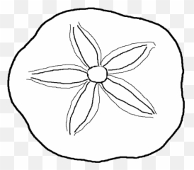 Download Clip Stock Dollar Coloring Pages Page - Sand Dollar Seashell Coloring Png,Sand Dollar Png