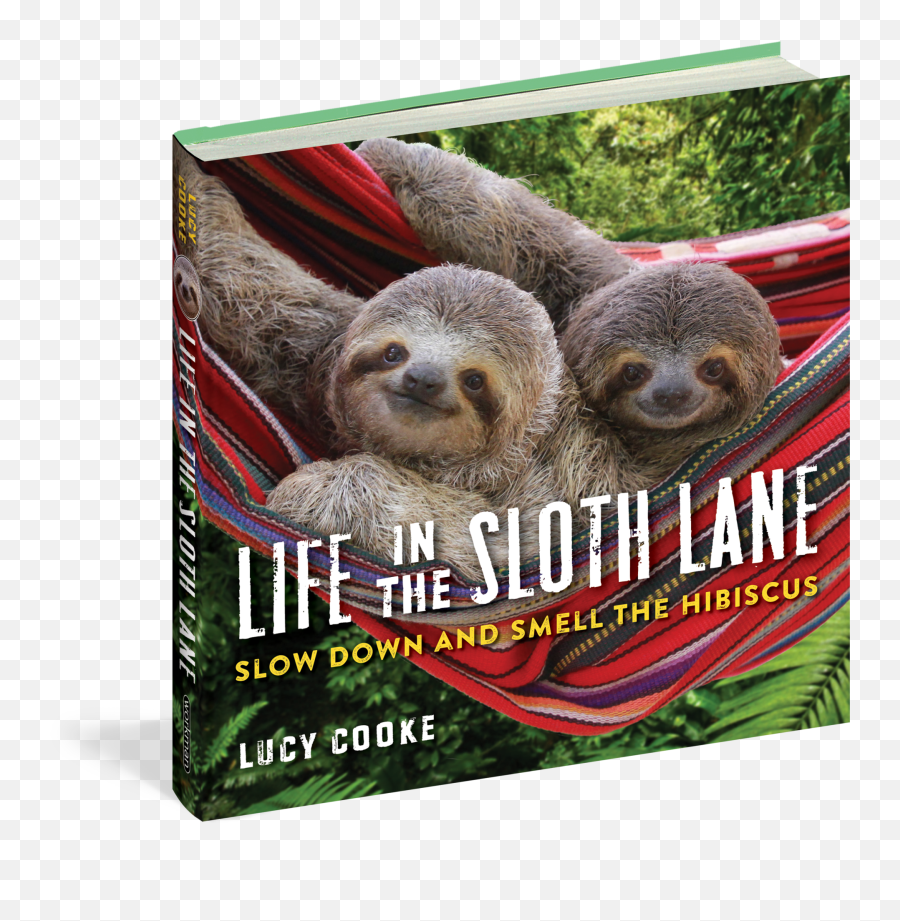 Book - Life In The Sloth Lane Life In The Sloth Slow Down And Smell The Hibiscus Png,Sloth Transparent