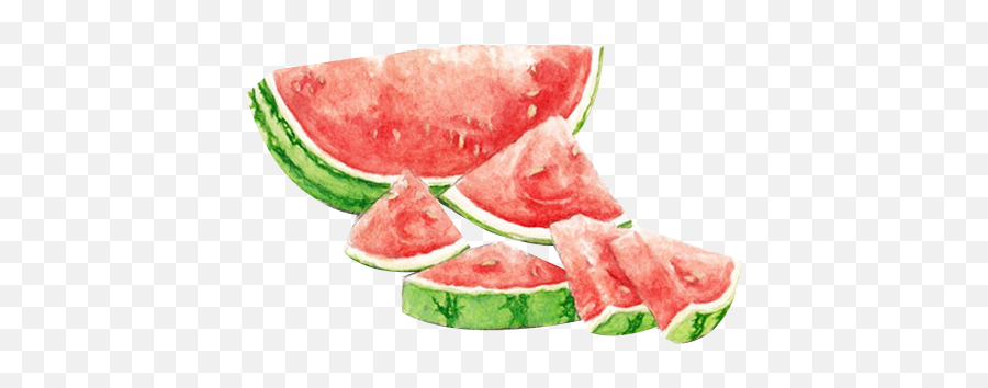 Download Watermelon Transparent Watercolour - Watermelon Watercolor Png Frutos,Watermelon Transparent