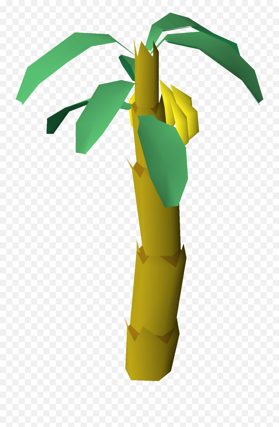 Banana Tree - Banana Osrs Png,Banana Tree Png
