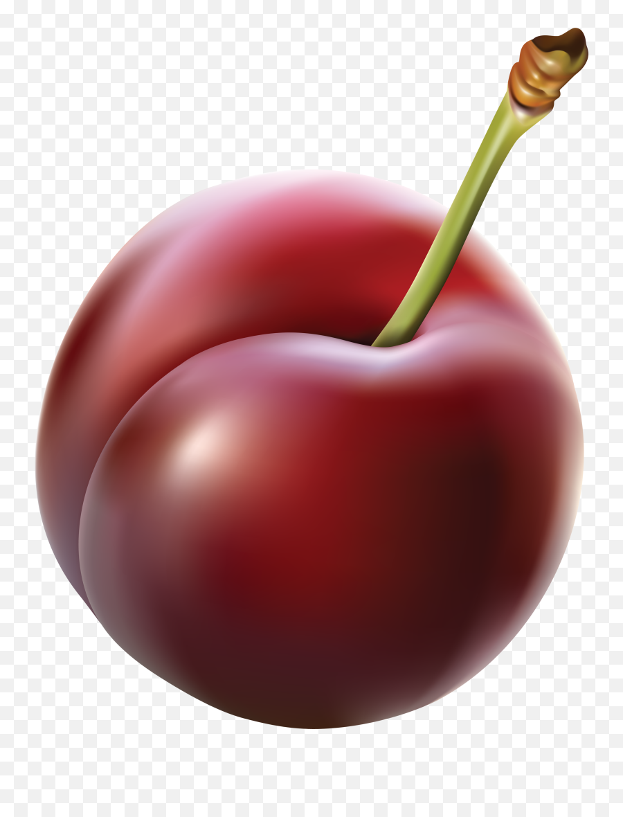 Plum Png Images Free Download