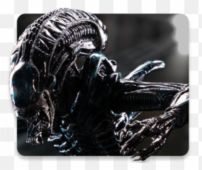 6 Scale Alien Statue Png Xenomorph Transparent