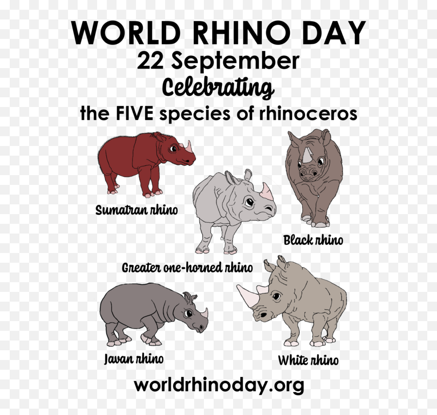 World Rhino Day Media - 22 September World Rhino Day Png,Rhinoceros Png