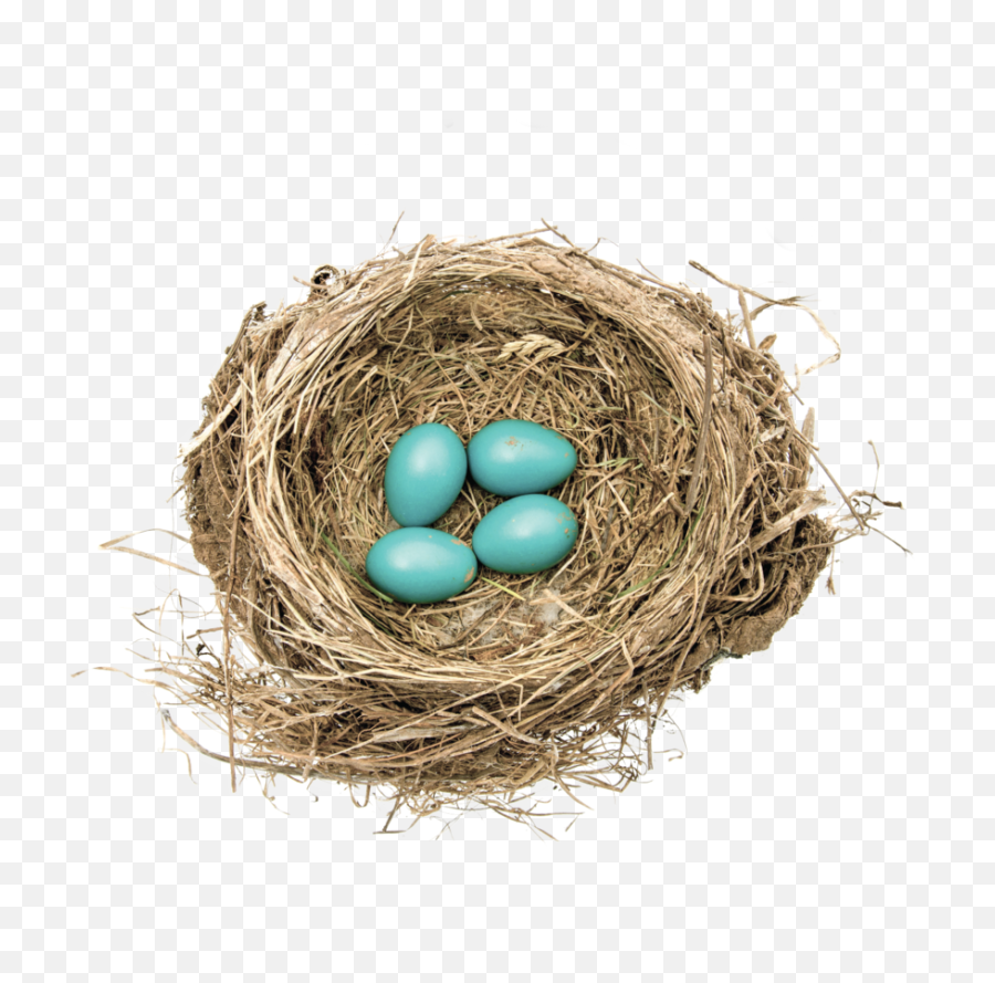 Robins Nest Png