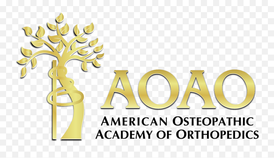 61st Annual Spring Meeting - In Person And Virtual Mmg American Osteopathic Association Of Orthopedics Aoao Logo Png,Icon Stryker Elbow Guards