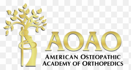 61st Annual Spring Meeting - In Person and Virtual MMG American Osteopathic Association Of Orthopedics Aoao Logo png