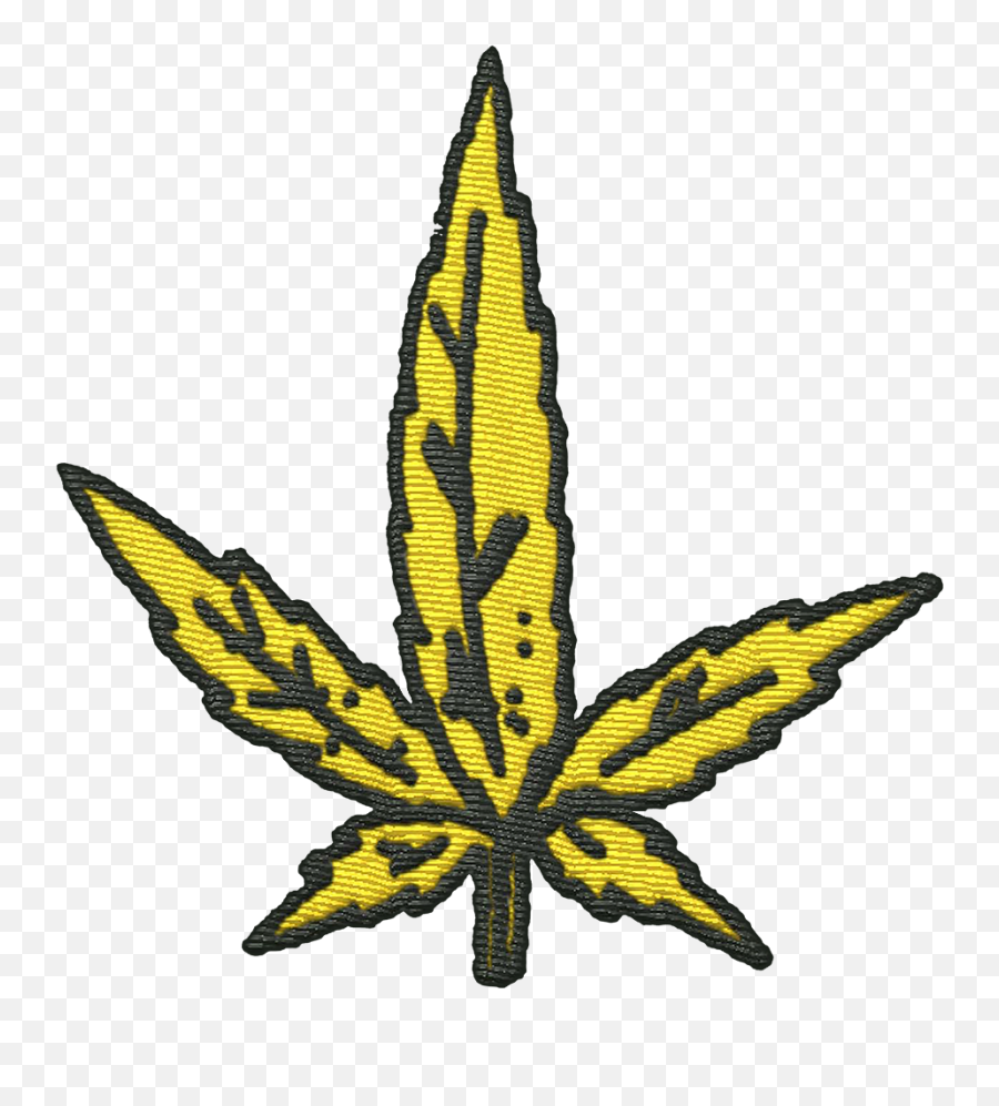 Leaf Patch Yellow U2013 Oliver Tree - Cannabis Sativa Png,Tree Leaf Icon