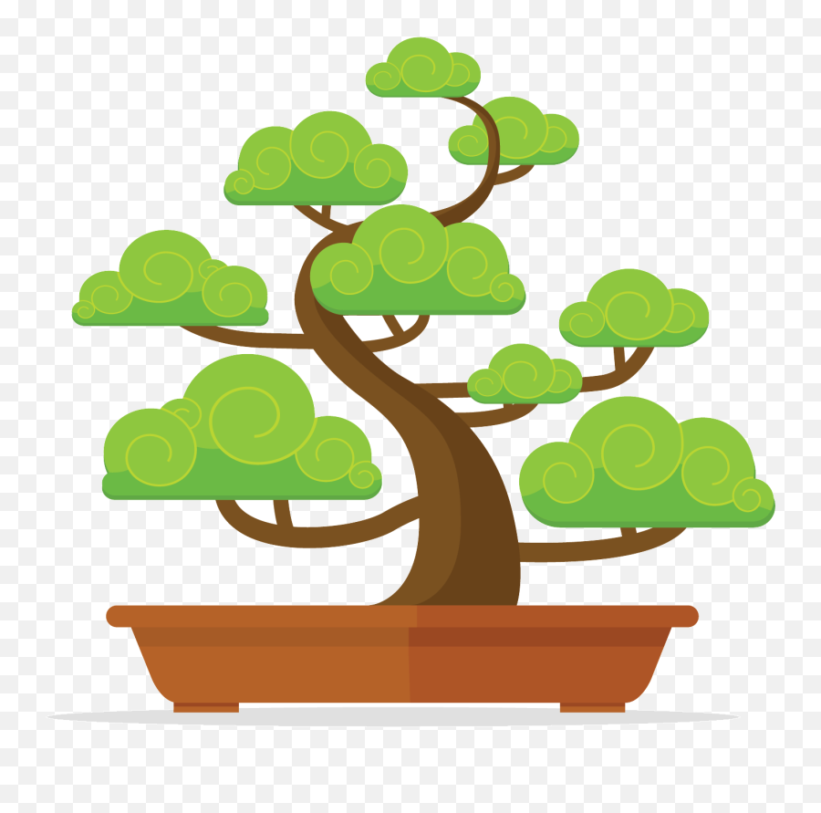 Best Bonsai Trees For Sale Uk From The - Bonsai Vector Png,Bonsai Tree Png