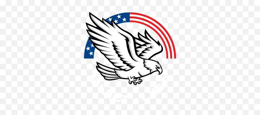 Salute Our Flag U2013 Built Usa - Built Usa Logo Png,Black And White American Flag Icon