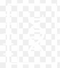 Teammsp - MaastrichtTeam 2020igemorg Language png
