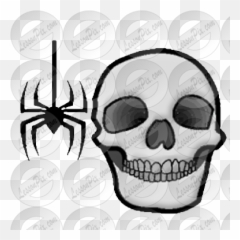 Skull Picture For Classroom Therapy Use - Great Skull Clipart Skull Png,Cartoon Skull Png