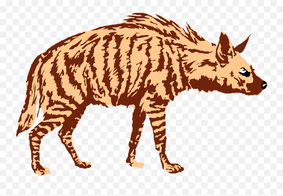 Hyena Png - Hyena Clipart Transparent,Hyena Png